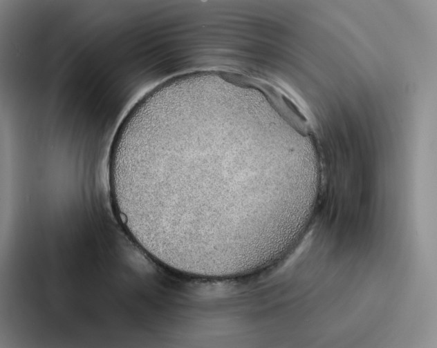 X0000086930891200705141740