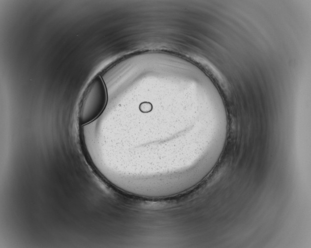 X0000086930894200705141740