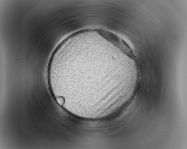 X0000086930895200705141740