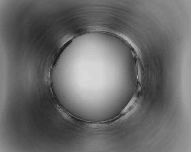 X0000086930897200705141740