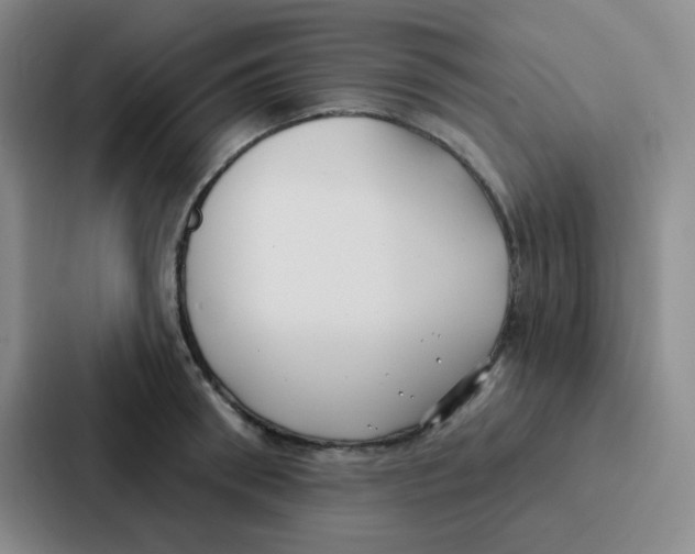 X0000086930898200705141740