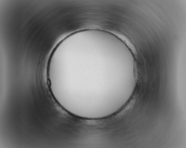 X0000086930904200705141740