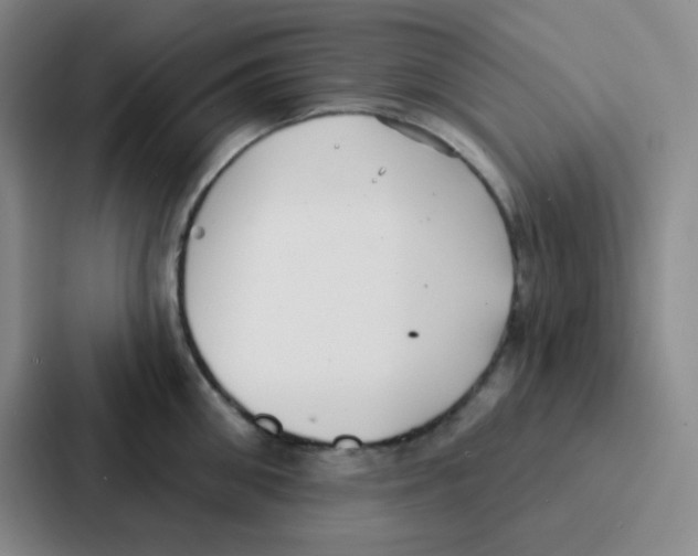 X0000086930906200705141740