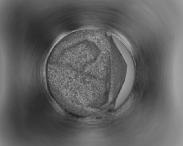 X0000086930907200705141740