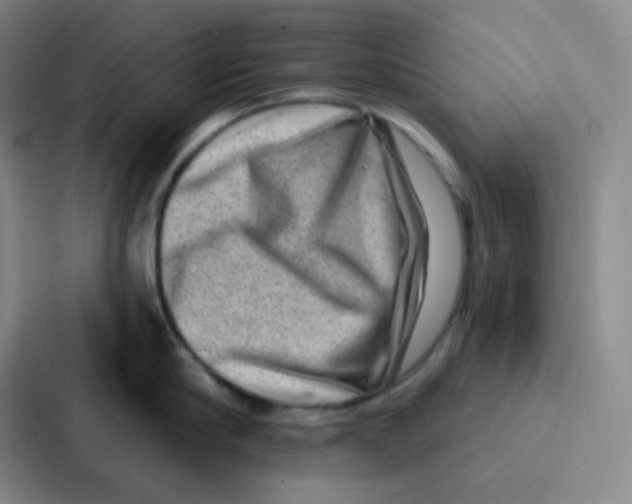 X0000086930910200705141740