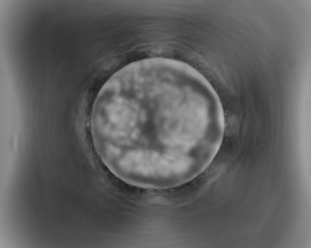 X0000086930913200705141739