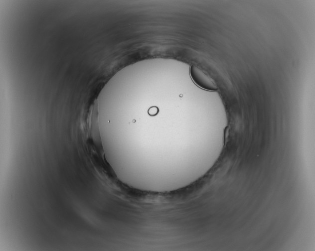 X0000086930914200705141739