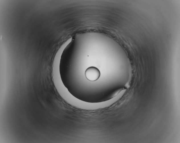 X0000086930916200705141739