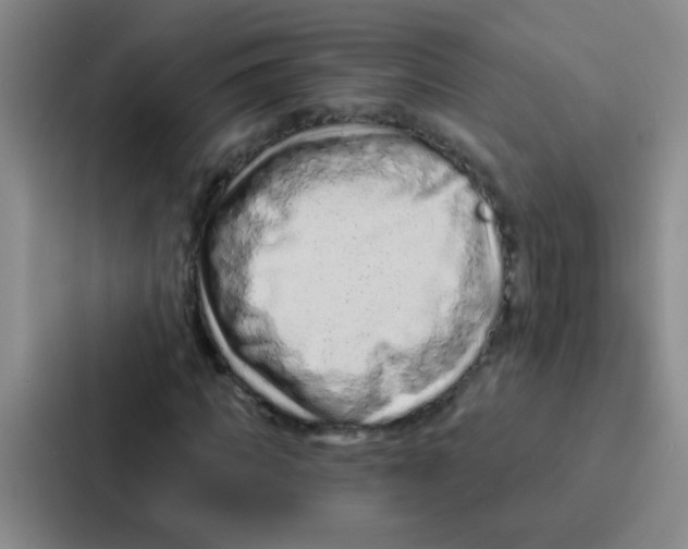 X0000086930917200705141739