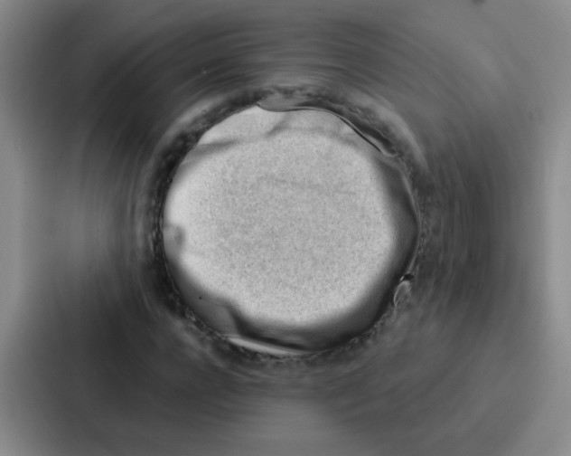 X0000086930920200705141739