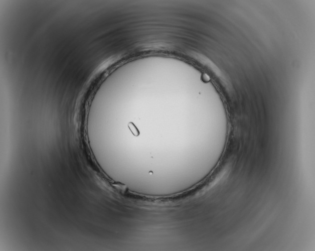 X0000086930922200705141739