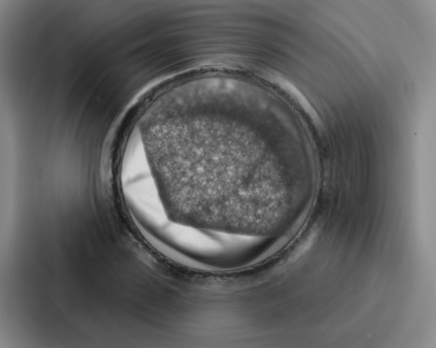 X0000086930923200705141739