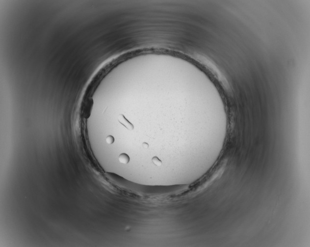 X0000086930924200705141739