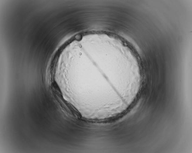 X0000086930925200705141739