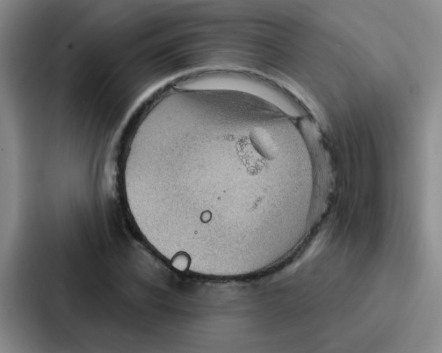 X0000086930926200705141739