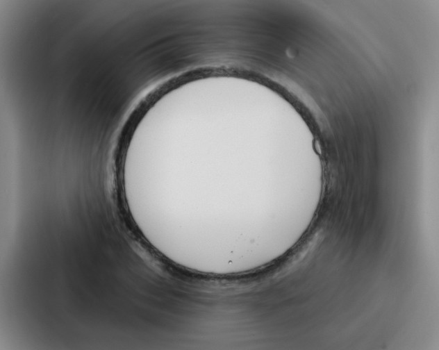 X0000086930927200705141739