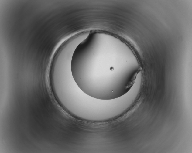 X0000086930928200705141739