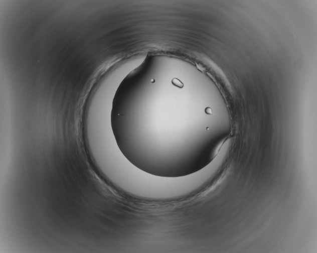 X0000086930930200705141739