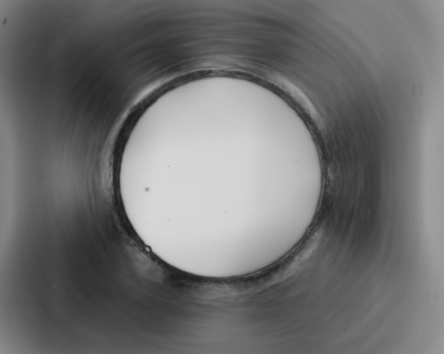 X0000086930931200705141739