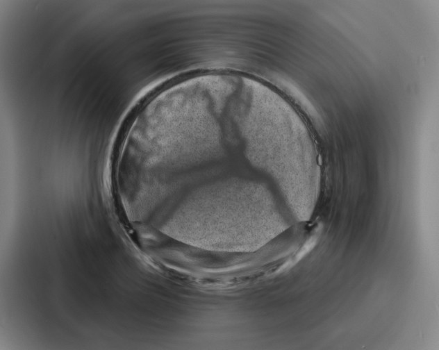 X0000086930932200705141739