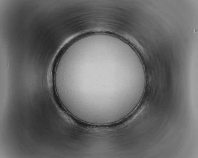 X0000086930934200705141739