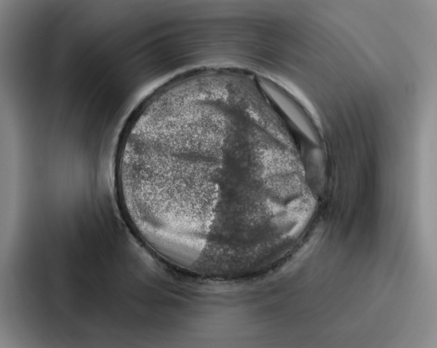 X0000086930935200705141739