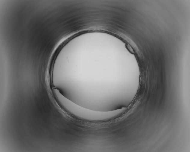 X0000086930936200705141739