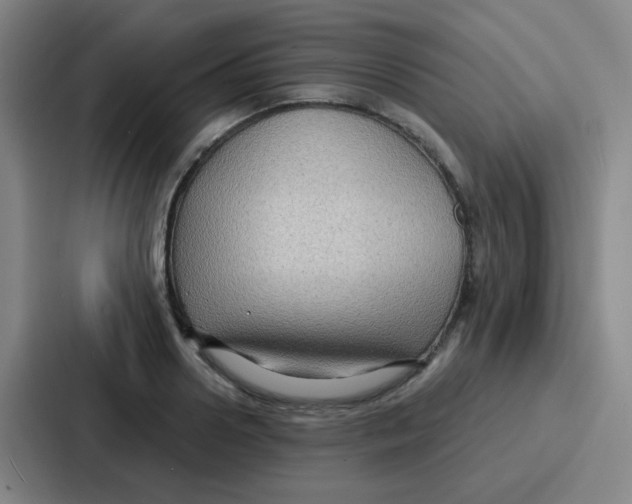 X0000086930938200705141739