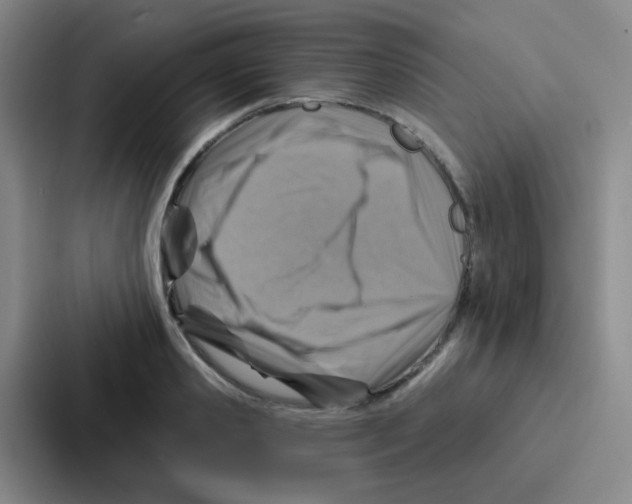 X0000086930941200705141739