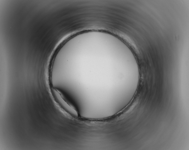 X0000086930942200705141739