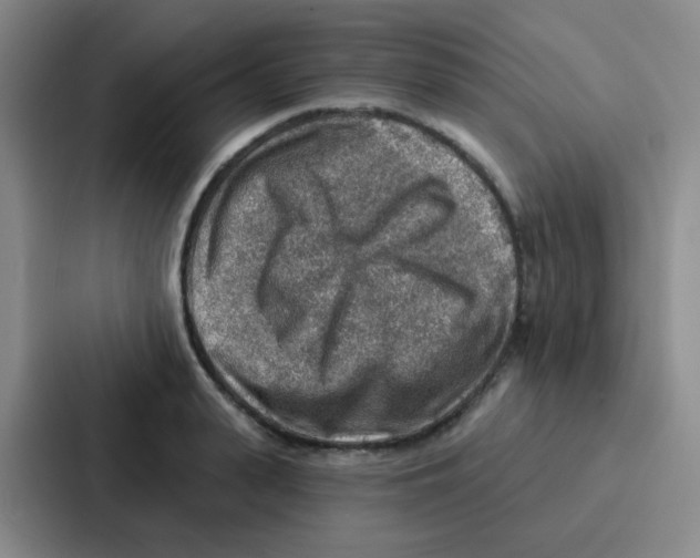 X0000086930943200705141739