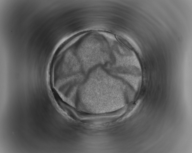 X0000086930944200705141739