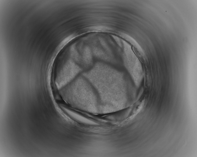 X0000086930946200705141739