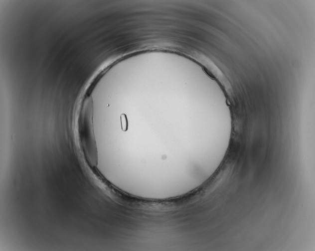 X0000086930947200705141739