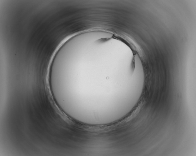 X0000086930948200705141739