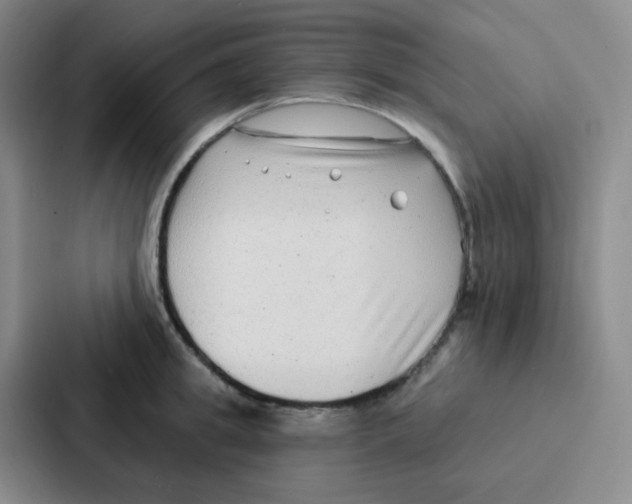 X0000086930949200705141739