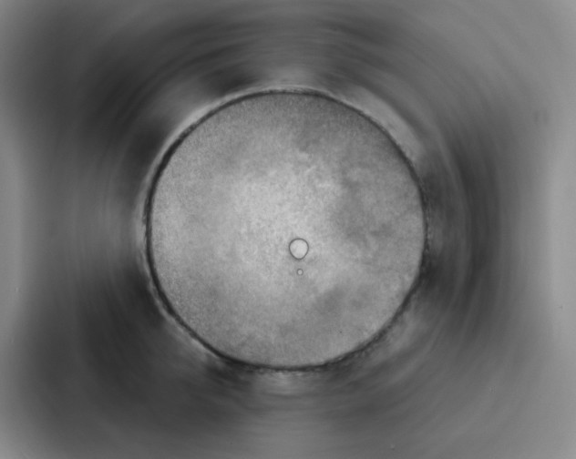 X0000086930950200705141739