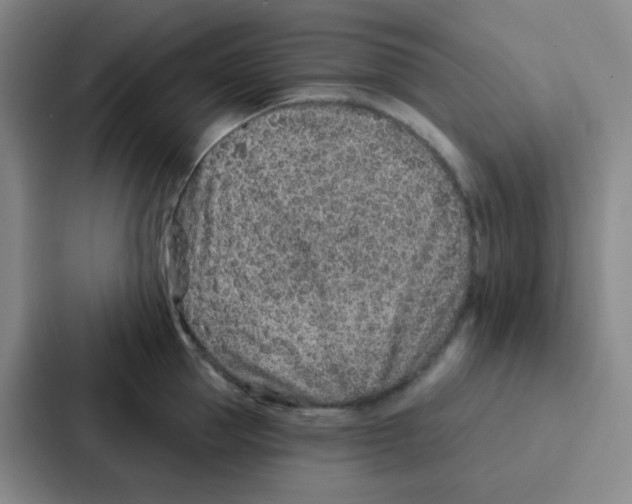 X0000086930953200705141739