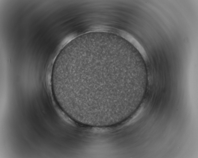 X0000086930954200705141739