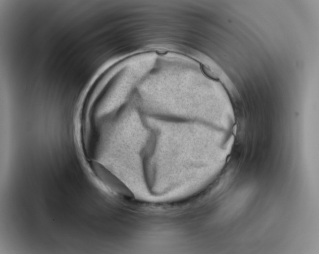 X0000086930955200705141740