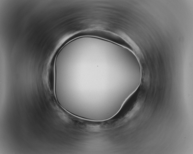 X0000086930956200705141740