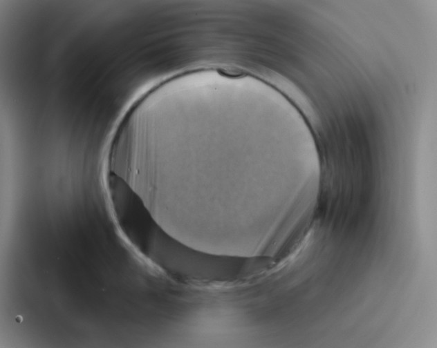 X0000086930958200705141740