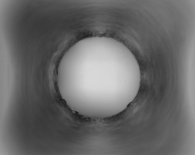 X0000086930961200705141739