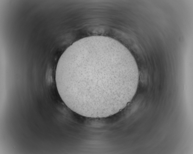 X0000086930962200705141739