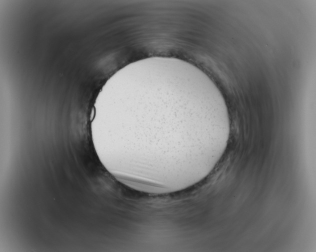 X0000086930964200705141739