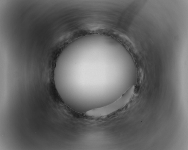 X0000086930965200705141739