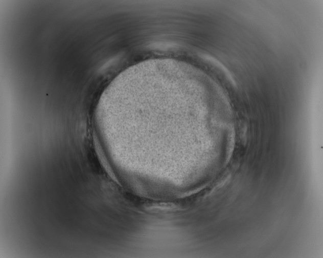 X0000086930966200705141739