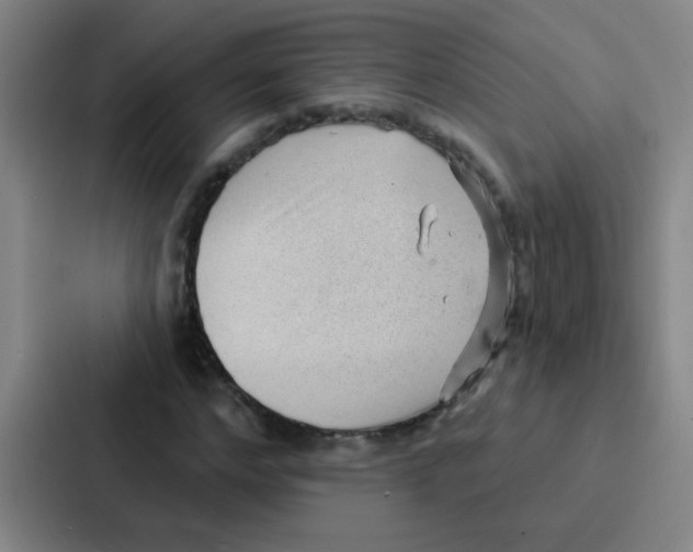 X0000086930968200705141739