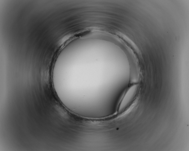 X0000086930969200705141739