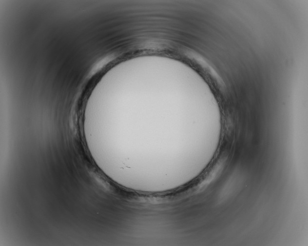 X0000086930970200705141739